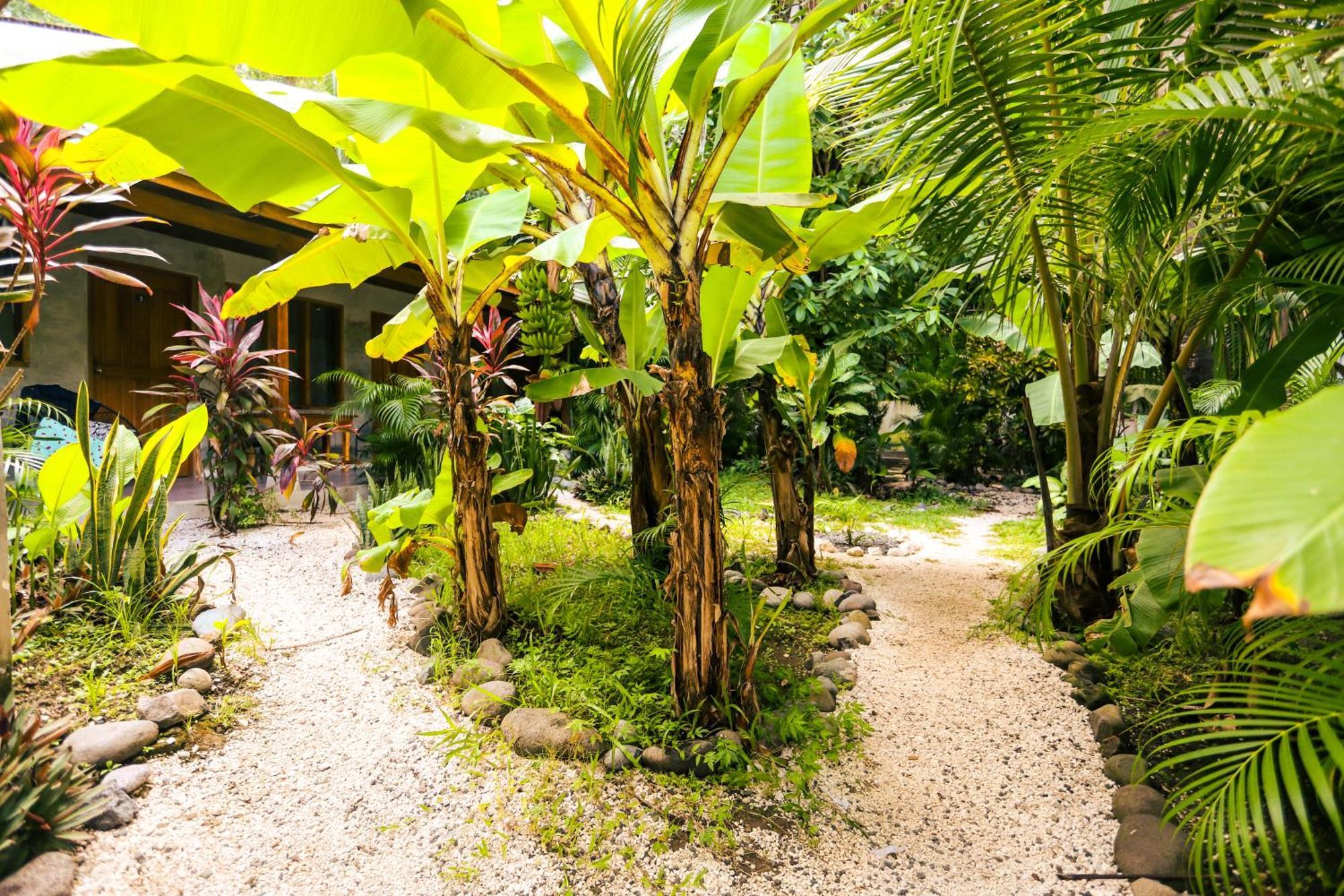 Cabinas Playa Surf Hostel Playa Santa Teresa  Luaran gambar