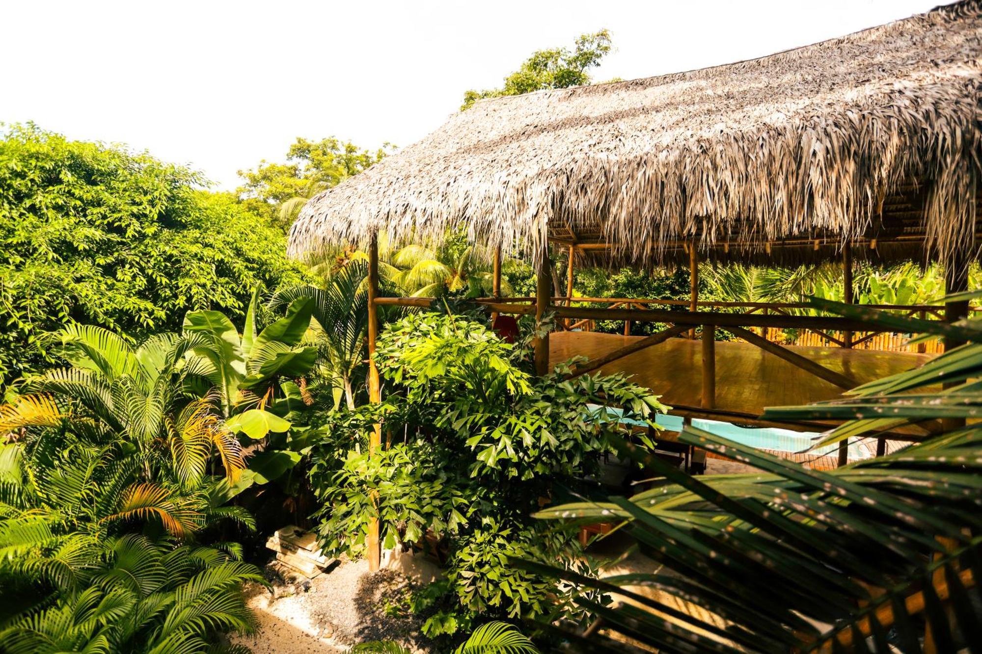 Cabinas Playa Surf Hostel Playa Santa Teresa  Luaran gambar