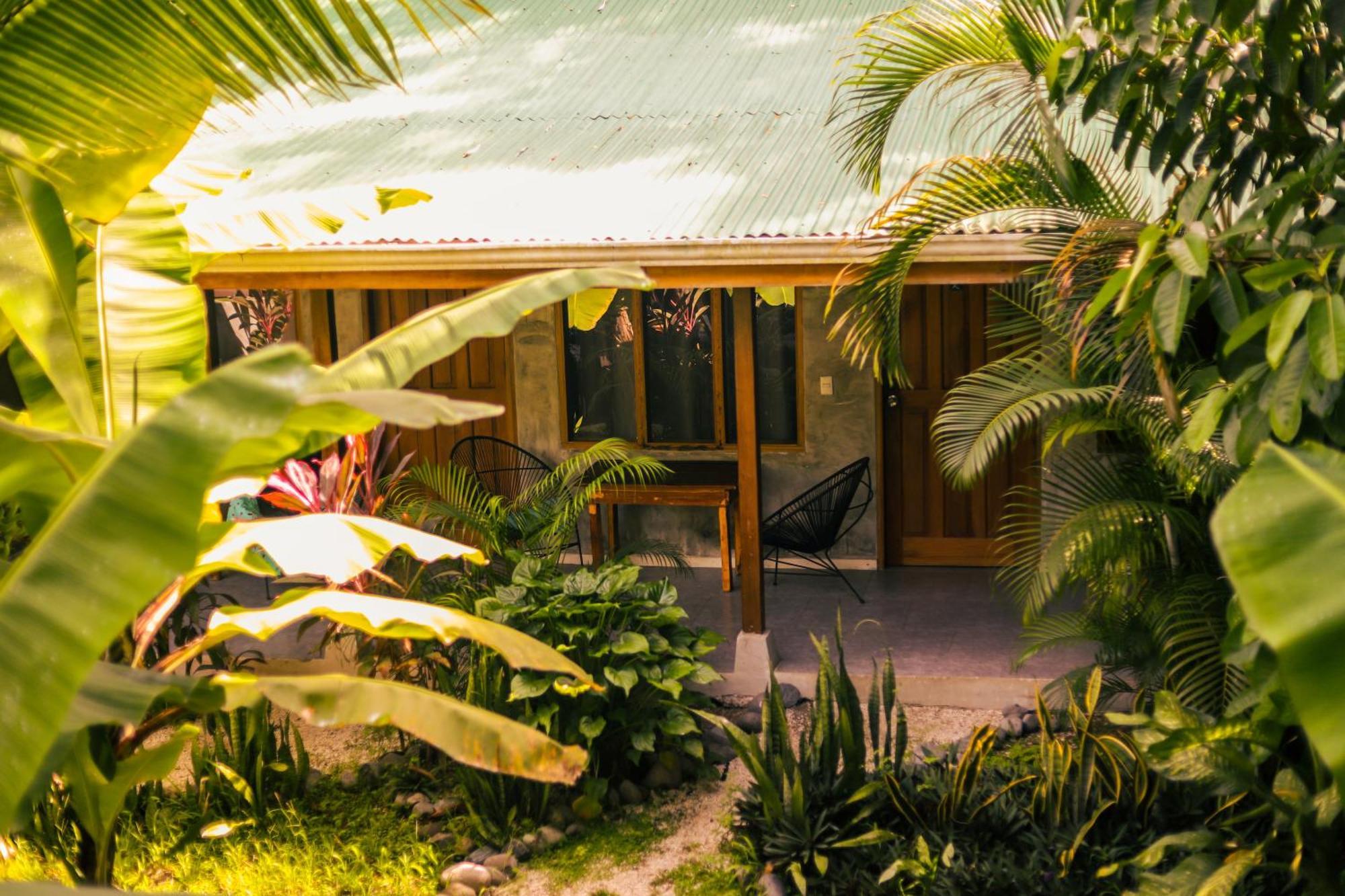 Cabinas Playa Surf Hostel Playa Santa Teresa  Luaran gambar