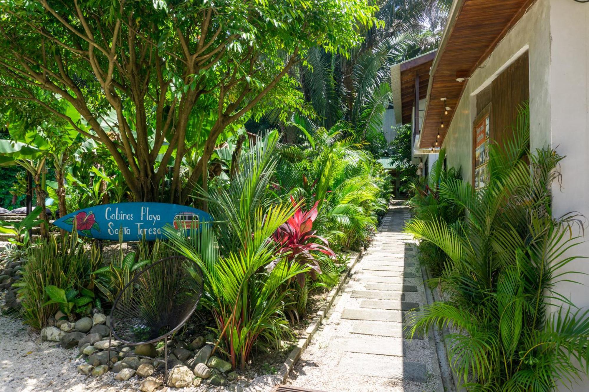Cabinas Playa Surf Hostel Playa Santa Teresa  Luaran gambar