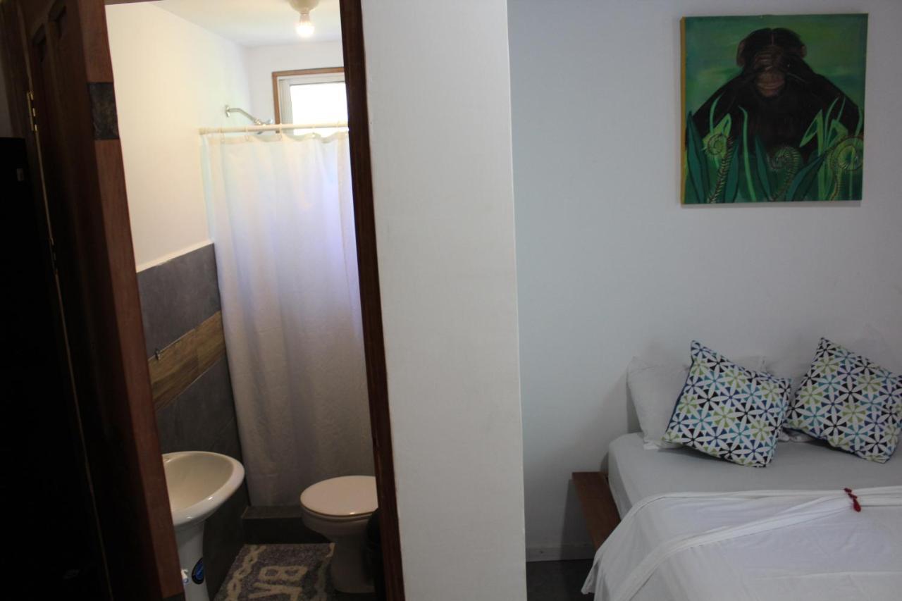 Cabinas Playa Surf Hostel Playa Santa Teresa  Luaran gambar